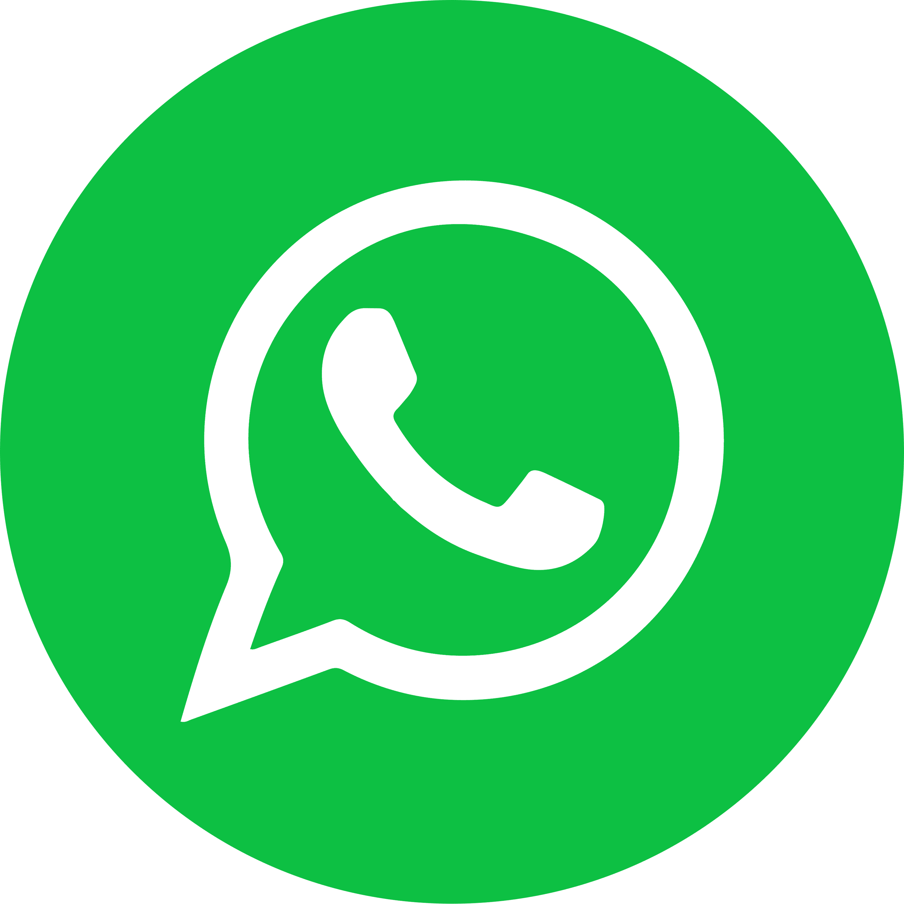 WhatsApp icon